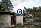 Vilkku
